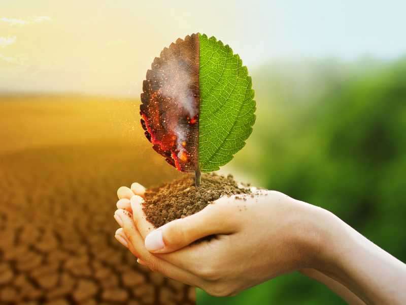 Sustainability and Climate Change