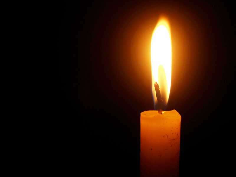 Loss and Bereavement